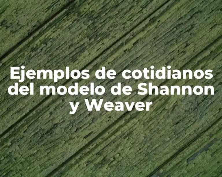 Ejemplos de cotidianos del modelo de Shannon y Weaver