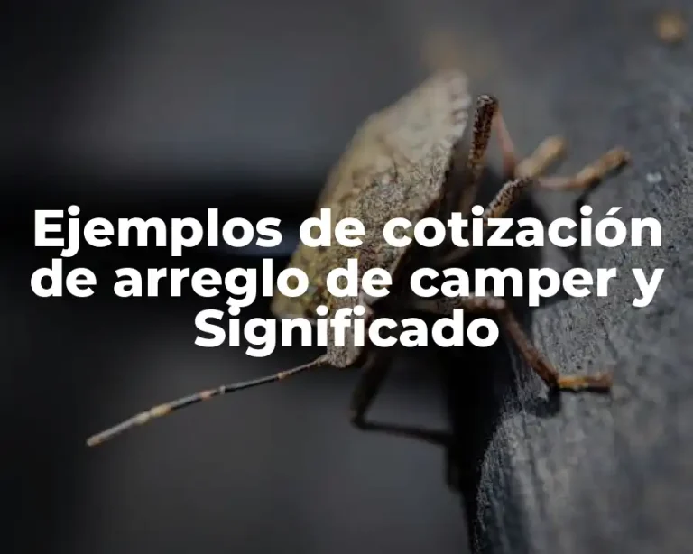 Ejemplos de cotización de arreglo de camper y Significado