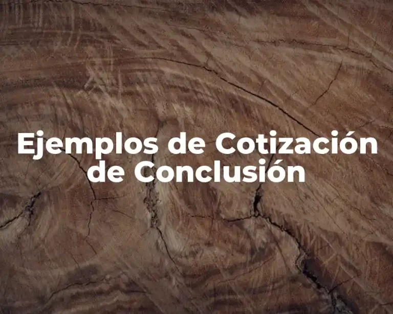 Ejemplos de Cotización de Conclusión