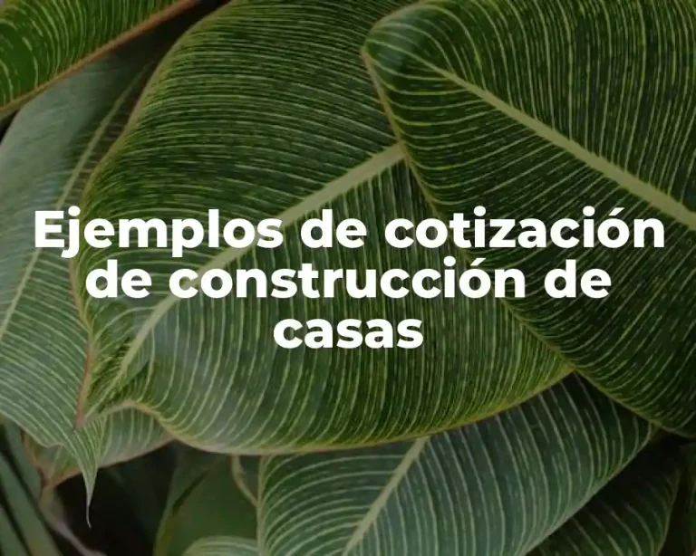 Ejemplos de cotización de construcción de casas