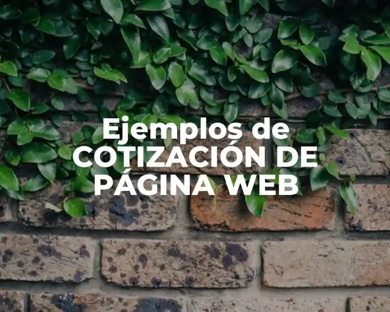 Ejemplos de COTIZACIÓN DE PÁGINA WEB