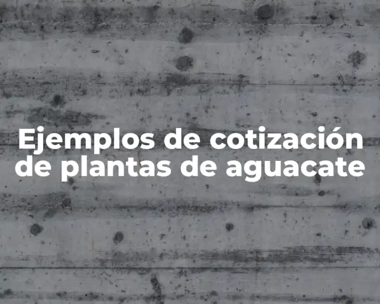 Ejemplos de cotización de plantas de aguacate