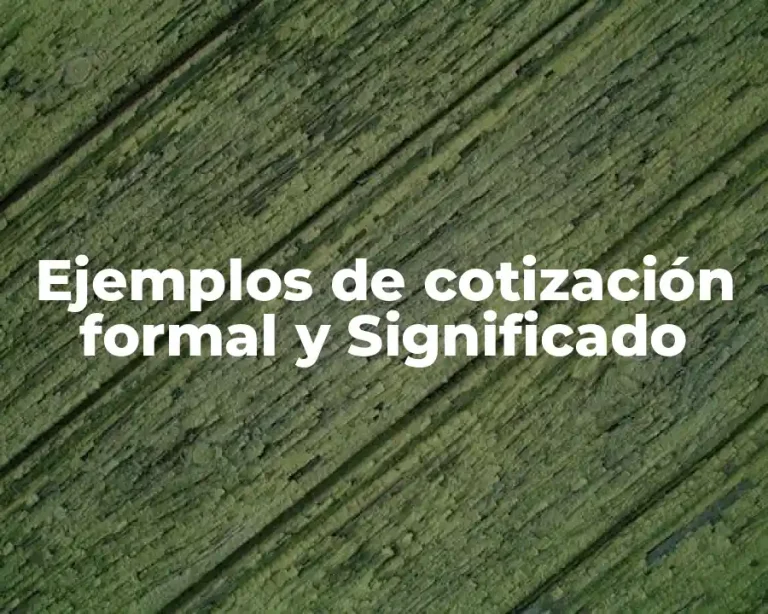 Ejemplos de cotización formal y Significado