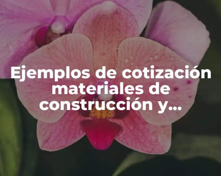 Ejemplos de cotización materiales de construcción y Significado