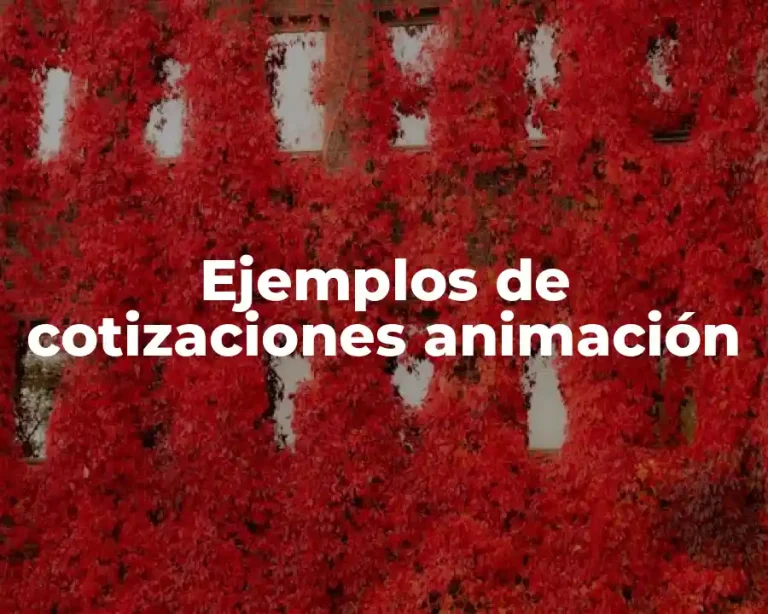 Ejemplos de cotizaciones animación