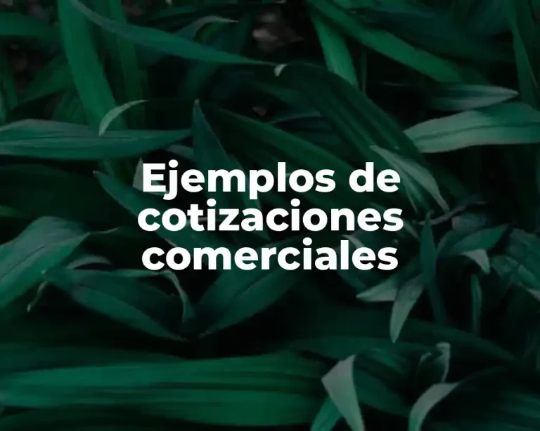 Ejemplos de cotizaciones comerciales