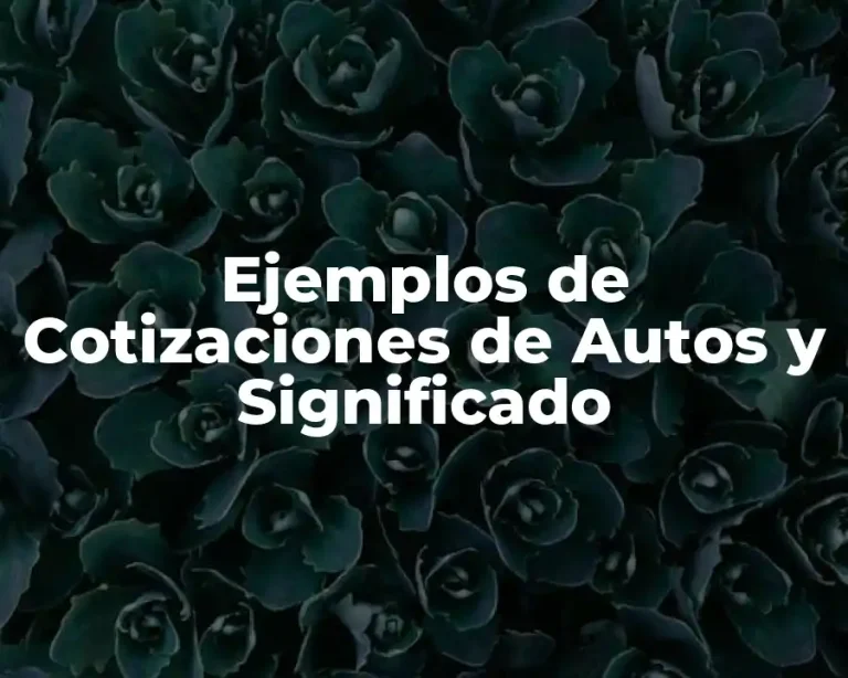 Ejemplos de Cotizaciones de Autos y Significado