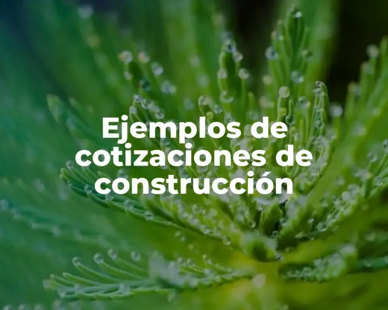 Ejemplos de cotizaciones de construcción