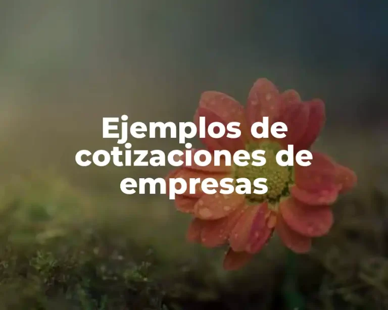 Ejemplos de cotizaciones de empresas