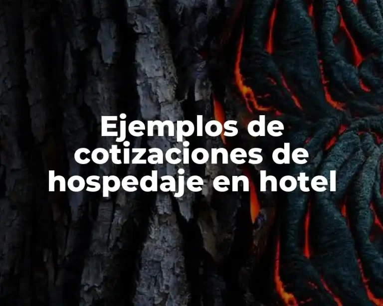 Ejemplos de cotizaciones de hospedaje en hotel
