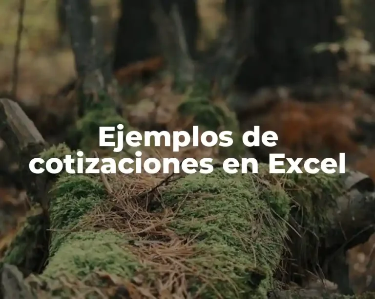 Ejemplos de cotizaciones en Excel