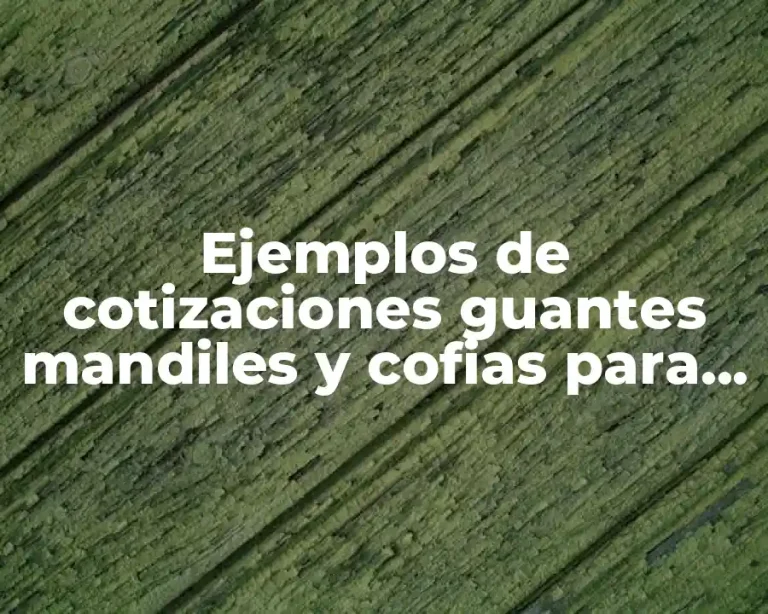 Ejemplos de cotizaciones guantes mandiles y cofias para panaderías