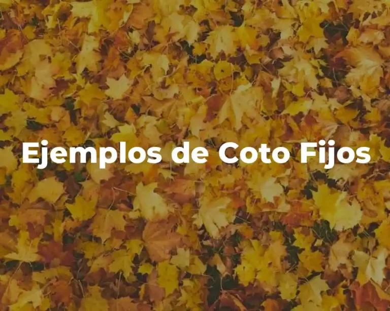Ejemplos de Coto Fijos