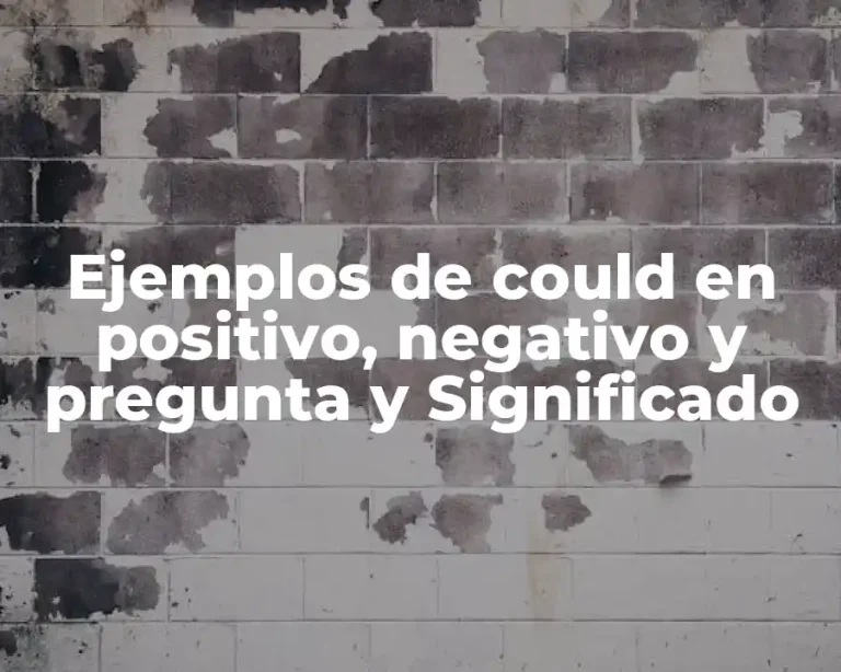 Ejemplos de could en positivo, negativo y pregunta y Significado