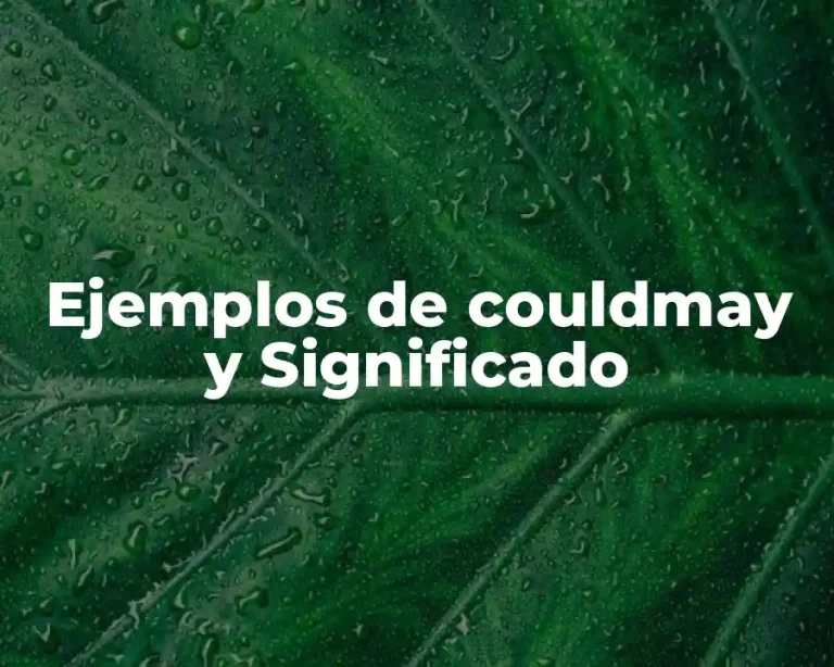 Ejemplos de couldmay y Significado