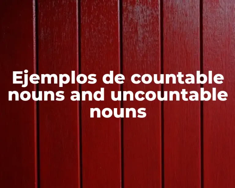 Ejemplos de countable nouns and uncountable nouns