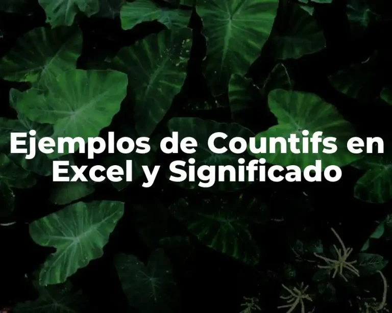 Ejemplos de Countifs en Excel y Significado