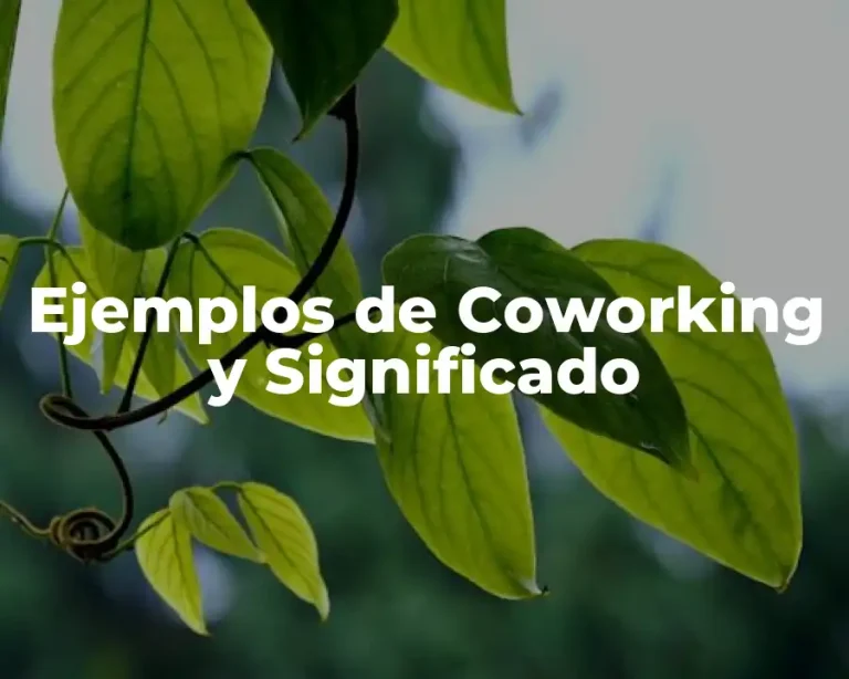 Ejemplos de Coworking y Significado