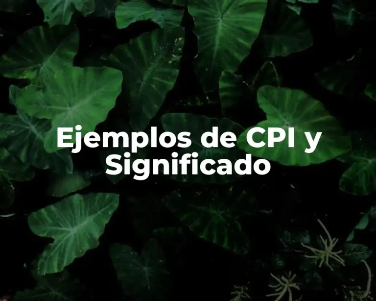 Ejemplos de CPI y Significado
