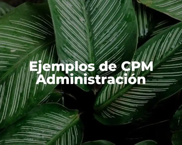 Ejemplos de CPM Administración