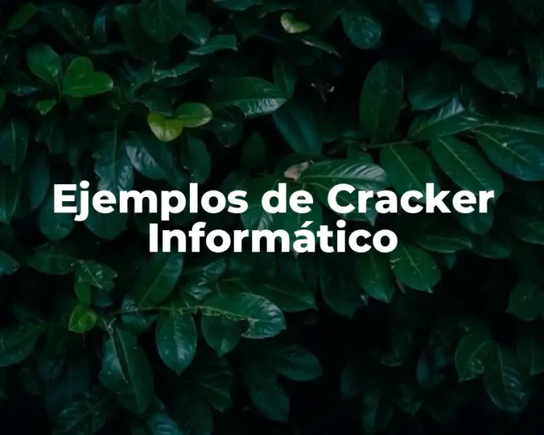 Ejemplos de Cracker Informático