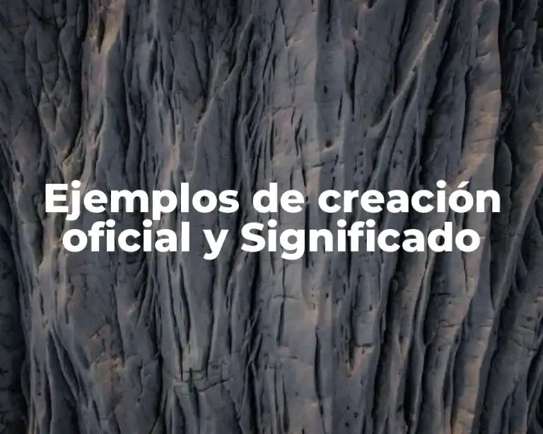 Ejemplos de creación oficial y Significado