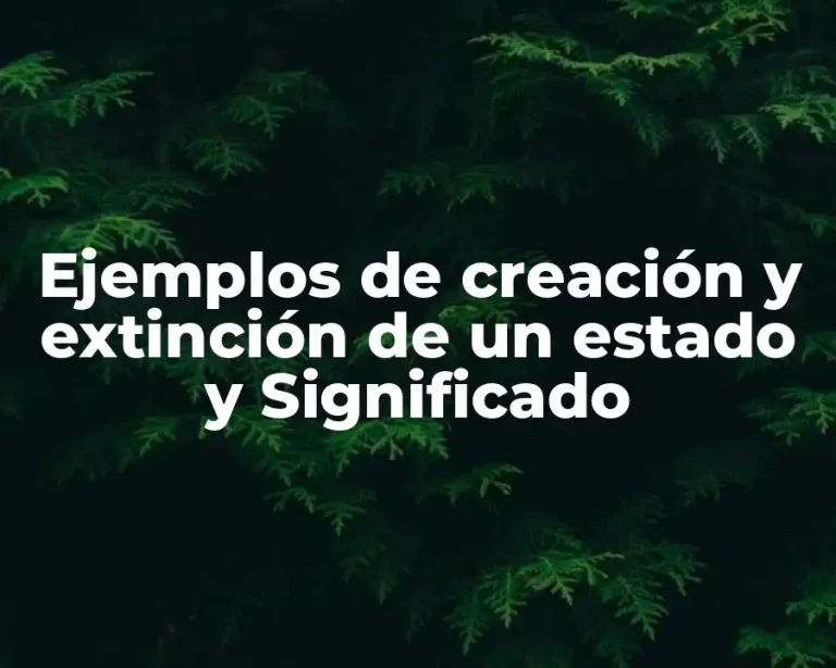 Ejemplos de creación y extinción de un estado y Significado