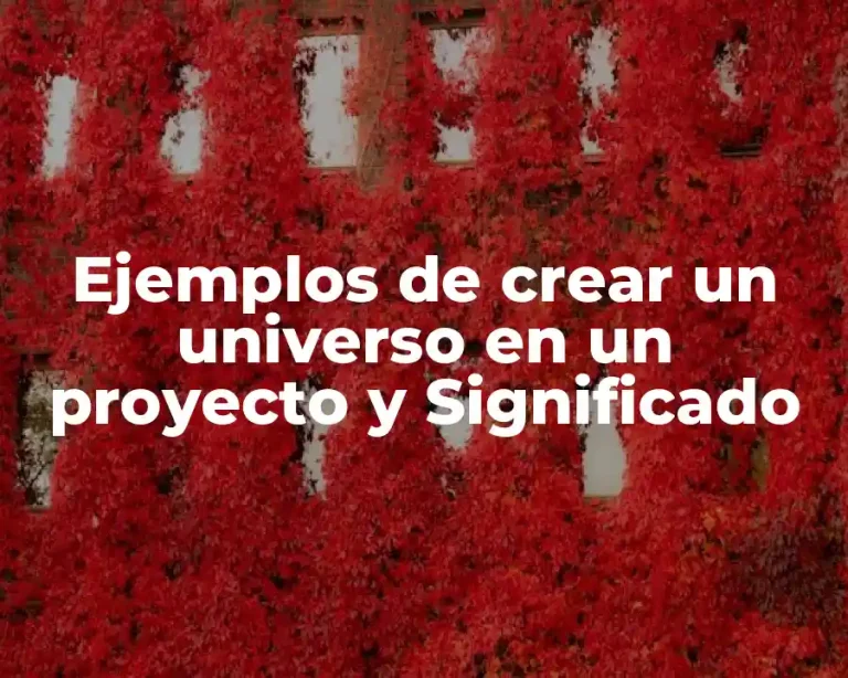 Ejemplos de crear un universo en un proyecto y Significado