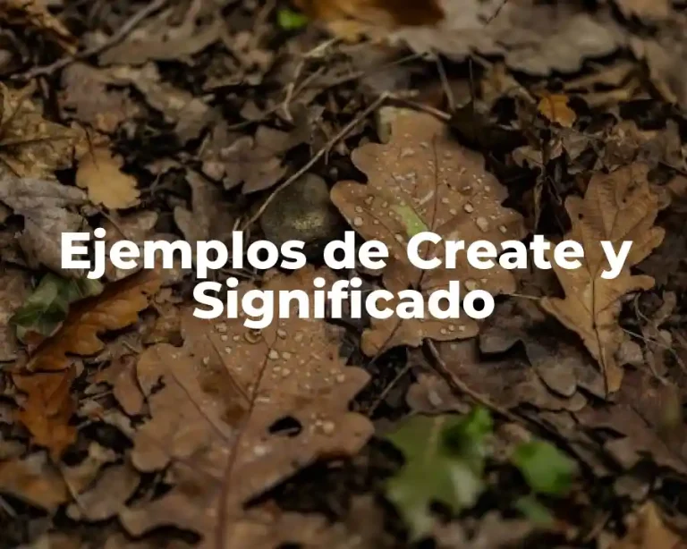 Ejemplos de Create y Significado