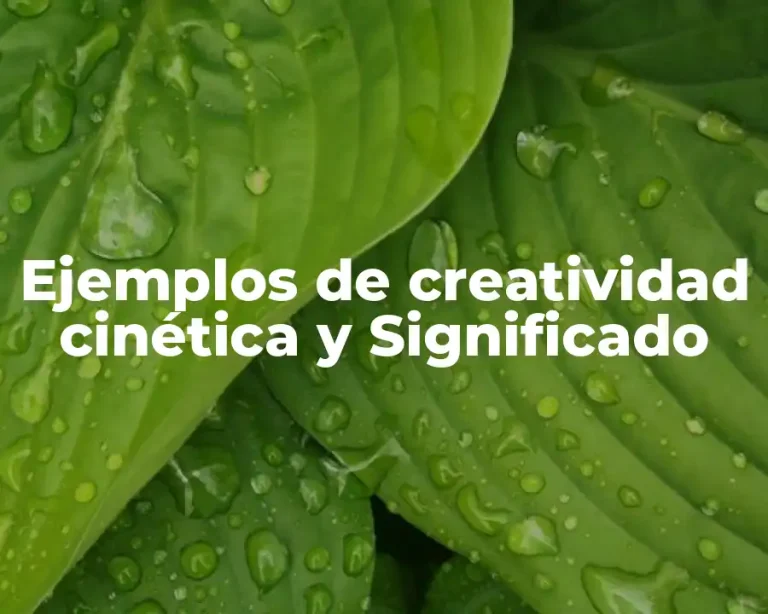 Ejemplos de creatividad cinética y Significado