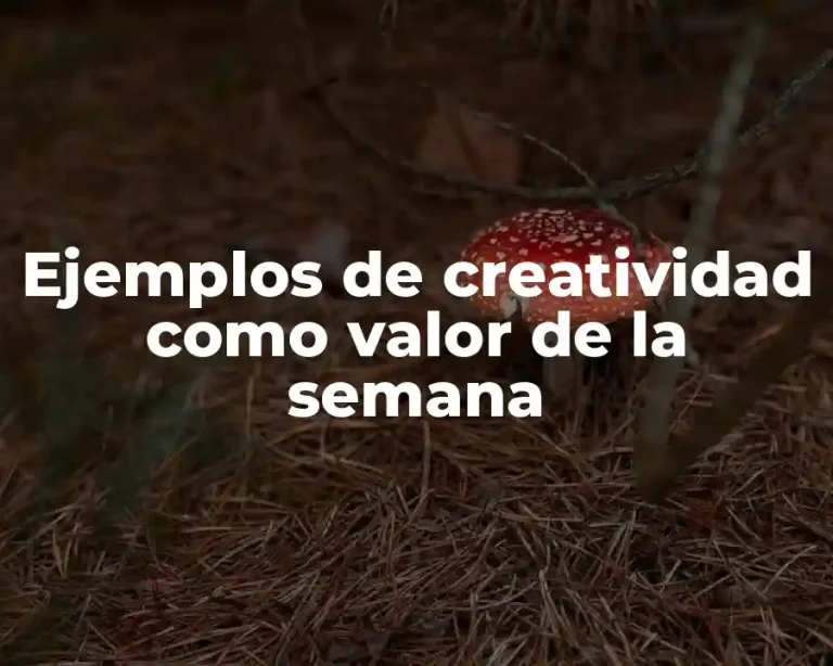 Ejemplos de creatividad como valor de la semana