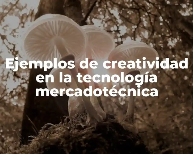 Ejemplos de creatividad en la tecnología mercadotécnica