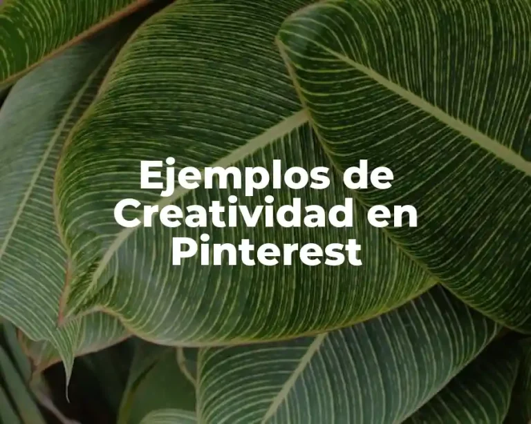 Ejemplos de Creatividad en Pinterest