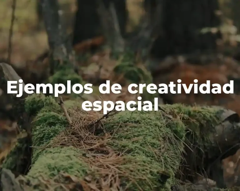 Ejemplos de creatividad espacial
