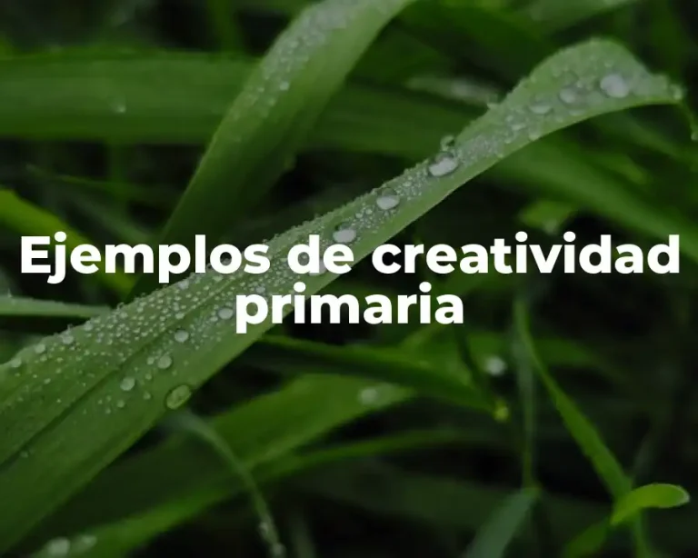Ejemplos de creatividad primaria