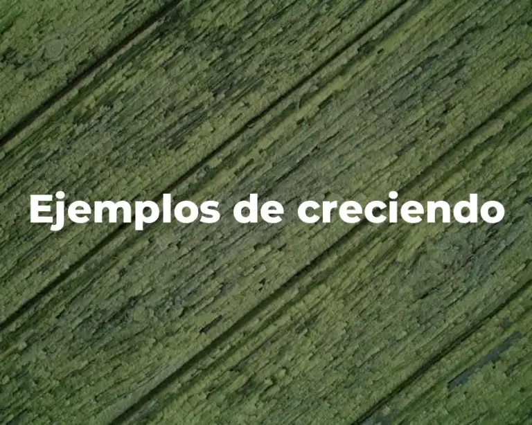 Ejemplos de creciendo