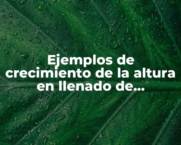 Ejemplos de crecimiento de la altura en llenado de recipientes y Significado