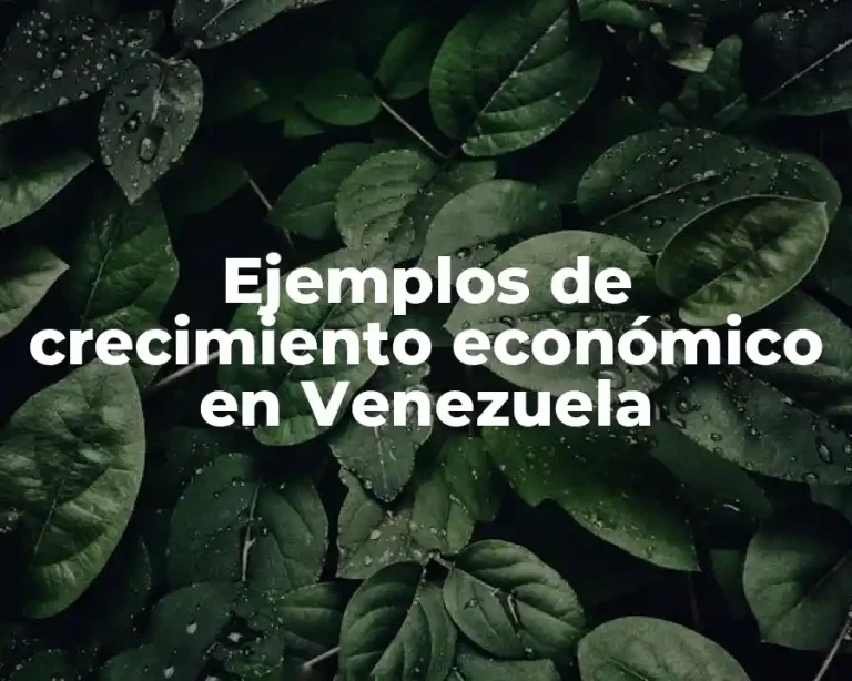 Ejemplos de crecimiento económico en Venezuela