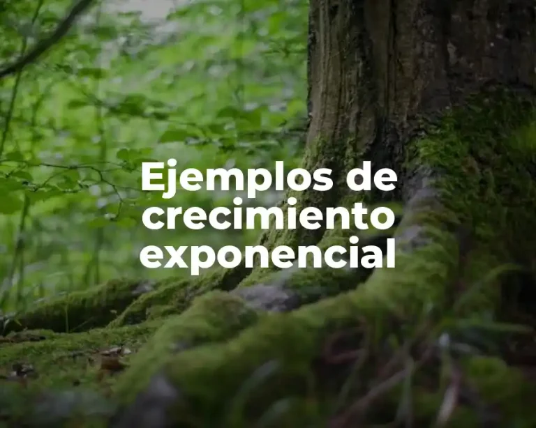 Ejemplos de crecimiento exponencial