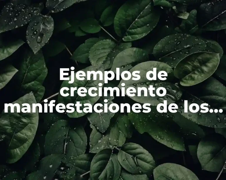 Ejemplos de crecimiento manifestaciones de los seres vivos
