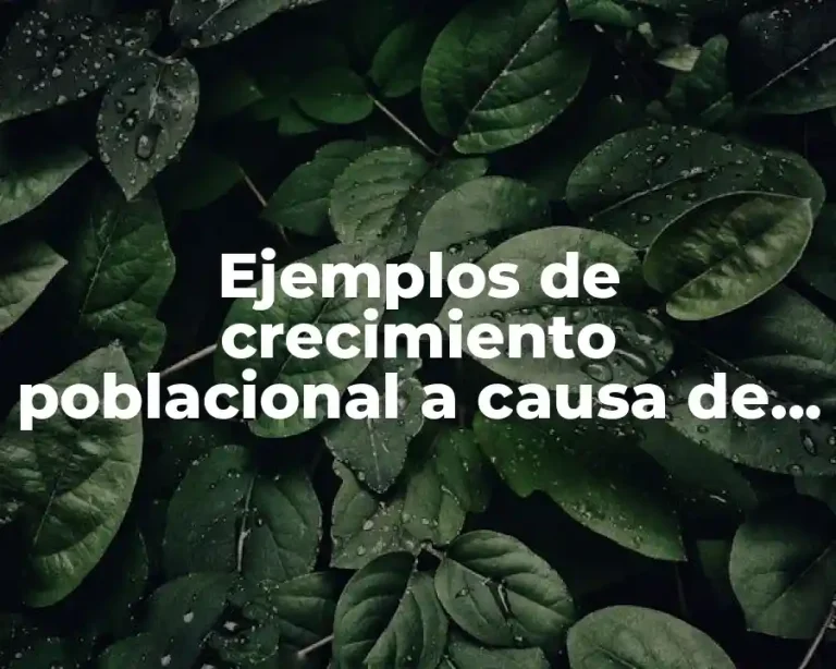 Ejemplos de crecimiento poblacional a causa de la migración