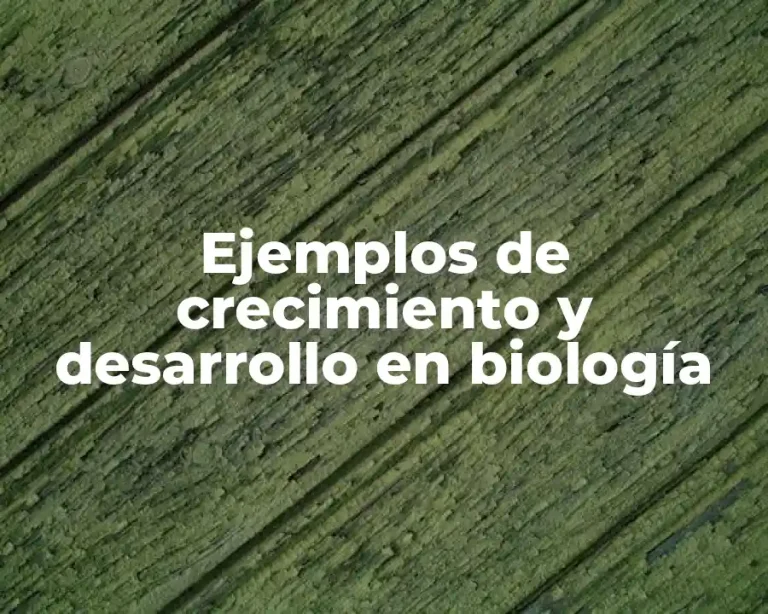Ejemplos de crecimiento y desarrollo en biología