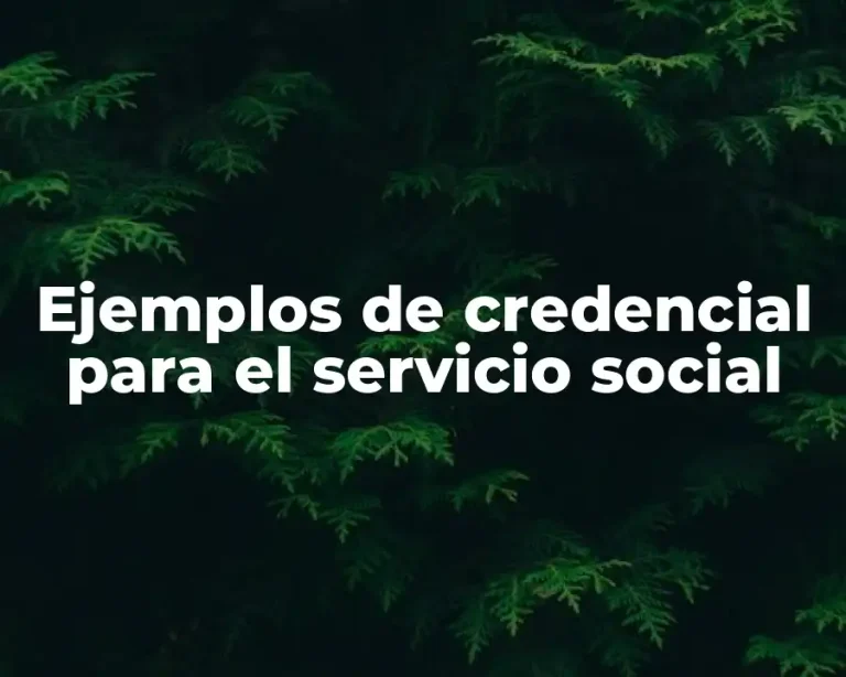 Ejemplos de credencial para el servicio social