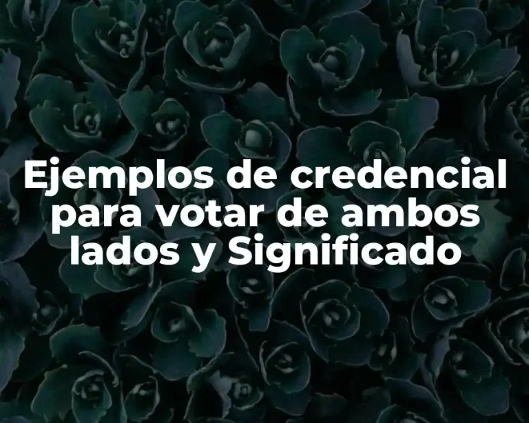 Ejemplos de credencial para votar de ambos lados y Significado