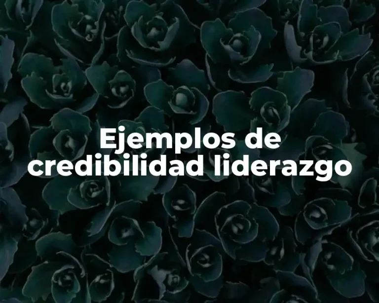 Ejemplos de credibilidad liderazgo