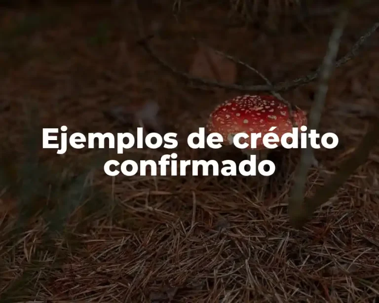 Ejemplos de crédito confirmado