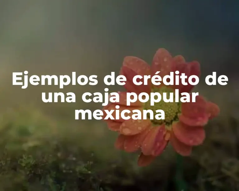 Ejemplos de crédito de una caja popular mexicana