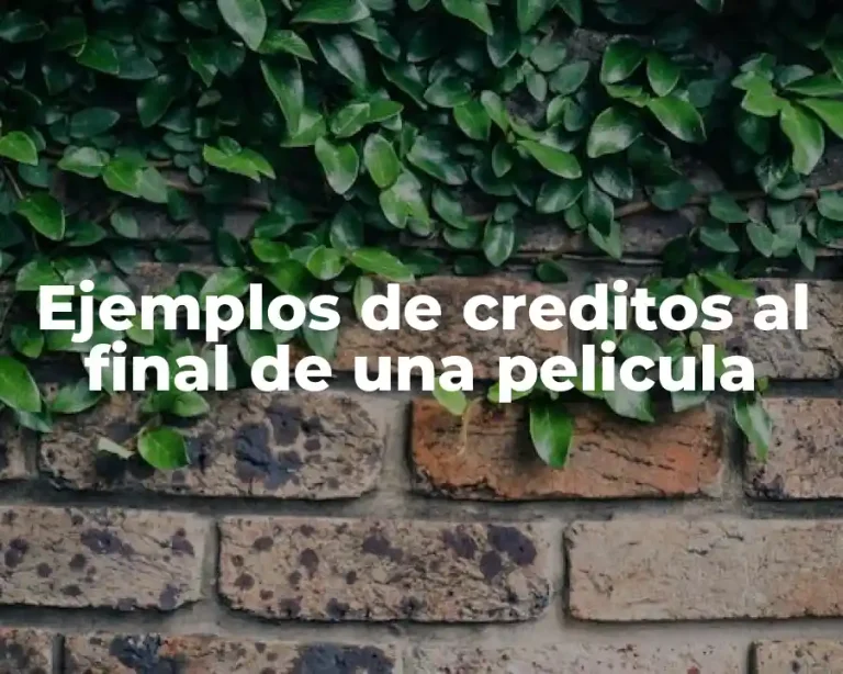 Ejemplos de creditos al final de una pelicula