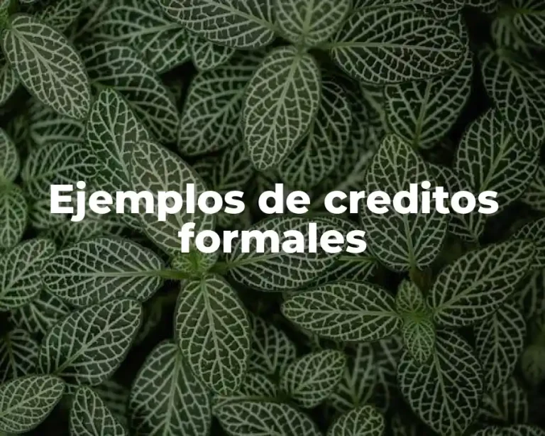 Ejemplos de creditos formales