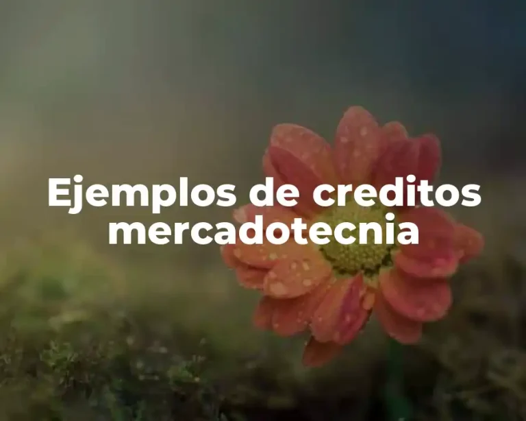 Ejemplos de creditos mercadotecnia